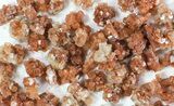 Lot: Small Twinned Aragonite Crystals - Pieces #78103-1